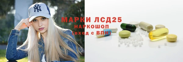 ГАЛЛЮЦИНОГЕННЫЕ ГРИБЫ Осташков