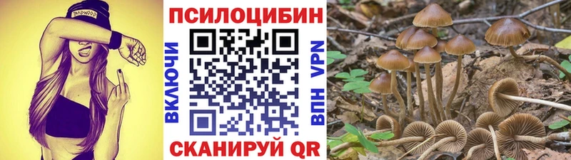 купить наркотики цена  Богородицк  Псилоцибиновые грибы GOLDEN TEACHER 